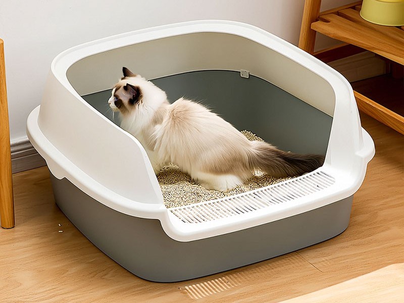 大號貓砂盆注塑